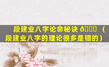 段建业八字论命秘诀 🐕 （段建业八字的理论很多是错的）